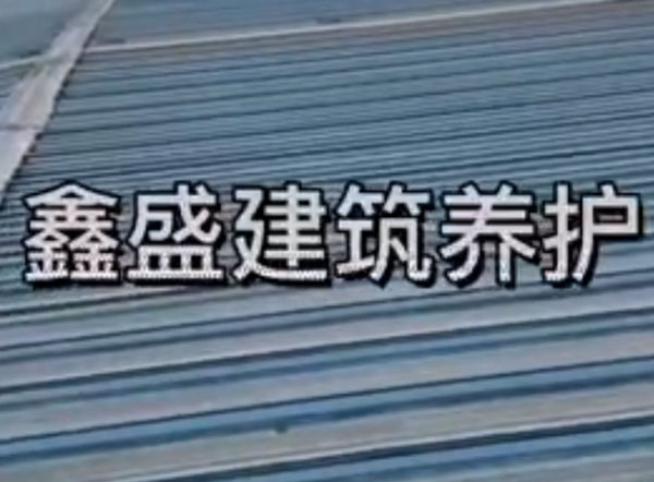 視頻